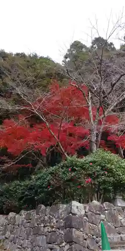 総見寺の自然