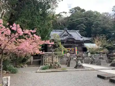 伊古奈比咩命神社の本殿・本堂