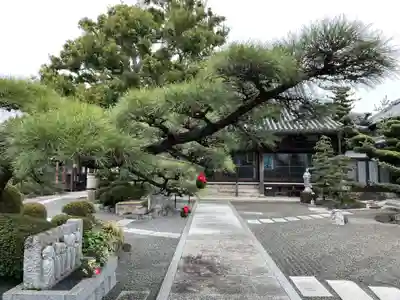 多聞寺(兵庫県)