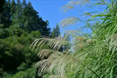 髙龍神社 中社(新潟県)
