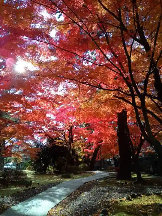 正樂寺(宮城県)