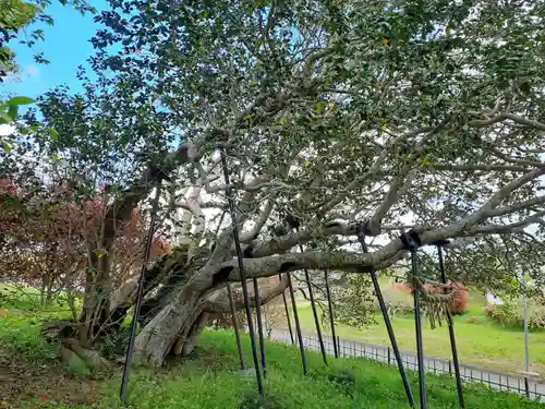 熊野神社(岩手県)