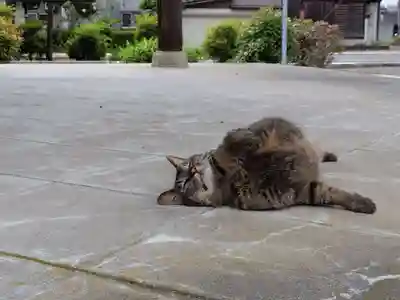 正覚寺(福井県)