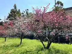 住吉神社(岐阜県)