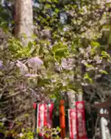 立志神社(滋賀県)