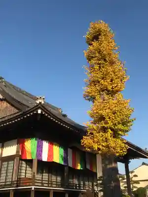 明願寺の本殿・本堂