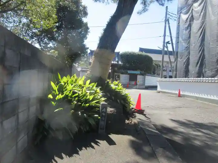 徳源寺(静岡県)