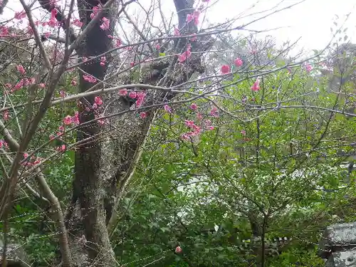 御霊神社の自然