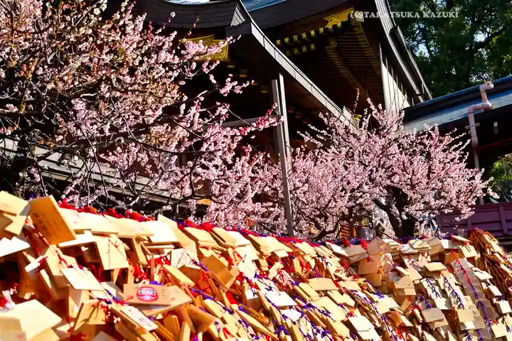湯島天満宮(東京都)