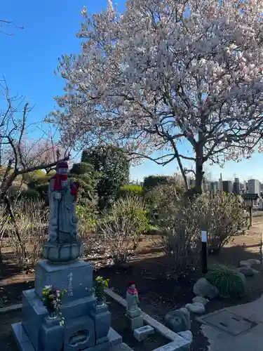 法華寺(埼玉県)