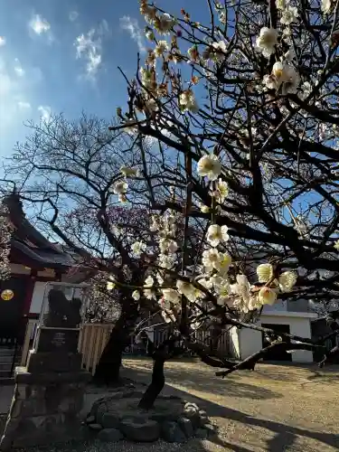 北野神社の{uncategorized: "未分類", other: "その他", undefined: "問題あり", building: "その他建物", grave: "お墓", sacred_gate: "鳥居", guardian: "狛犬", statue: "像", buddha: "仏像", history: "歴史", nature: "自然", garden: "庭園", animal: "動物", pagoda: "塔", temizu: "手水舎", mountain_gate: "山門・神門", sanctuary: "本殿・本堂", subordinate: "末社・摂社", art: "芸術", scenery: "景色", jizo: "地蔵", ema: "絵馬", goshuin: "御朱印", omikuji: "おみくじ", items: "授与品その他", amulet: "お守り", goshuincho: "御朱印帳", eats: "食事", festival: "お祭り", votive_dance: "神楽", shichigosan: "七五三参", wedding: "結婚式", experience: "体験その他", initially: "初詣", around: "周辺", anti_infection: "感染症対策"}