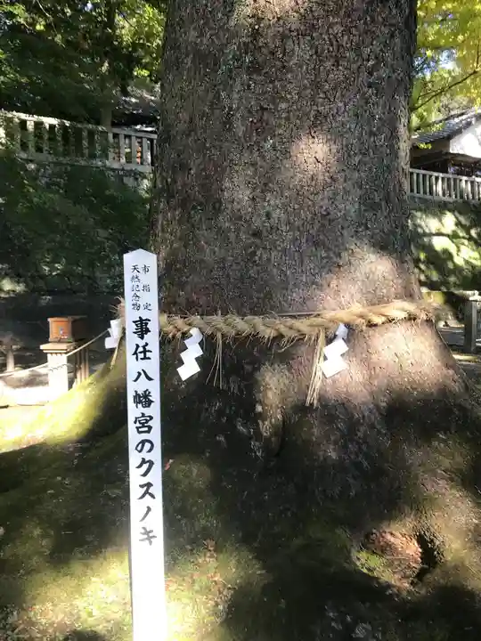 事任八幡宮の自然