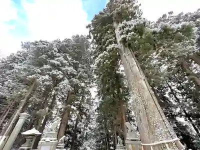 戸隠神社中社(長野県)