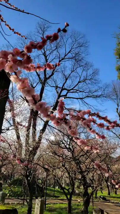 北野天満宮の{uncategorized: "未分類", other: "その他", undefined: "問題あり", building: "その他建物", grave: "お墓", sacred_gate: "鳥居", guardian: "狛犬", statue: "像", buddha: "仏像", history: "歴史", nature: "自然", garden: "庭園", animal: "動物", pagoda: "塔", temizu: "手水舎", mountain_gate: "山門・神門", sanctuary: "本殿・本堂", subordinate: "末社・摂社", art: "芸術", scenery: "景色", jizo: "地蔵", ema: "絵馬", goshuin: "御朱印", omikuji: "おみくじ", items: "授与品その他", amulet: "お守り", goshuincho: "御朱印帳", eats: "食事", festival: "お祭り", votive_dance: "神楽", shichigosan: "七五三参", wedding: "結婚式", experience: "体験その他", initially: "初詣", around: "周辺", anti_infection: "感染症対策"}