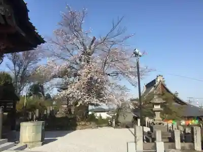 埼玉厄除け開運大師・龍泉寺（切り絵御朱印発祥の寺）のその他建物