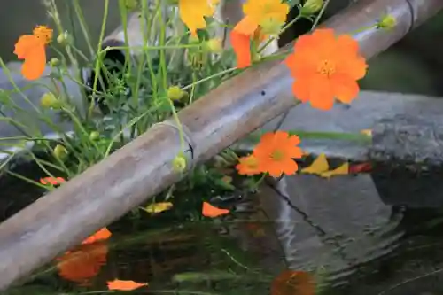 高司神社〜むすびの神の鎮まる社〜の手水舎