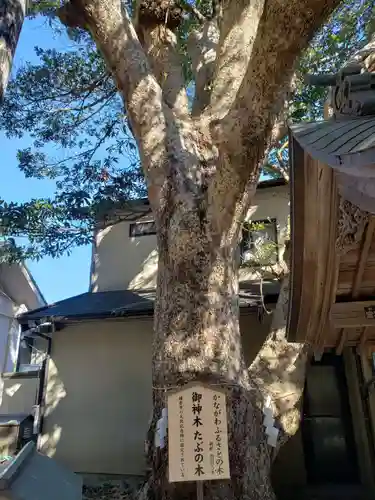 御霊神社の自然