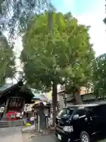 三島神社(東京都)
