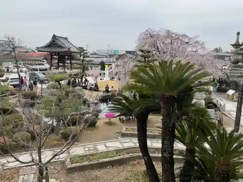 正眼寺(愛知県)