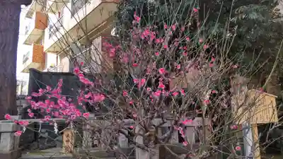 小野照崎神社(東京都)
