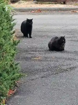 長林寺(山川長林寺)(栃木県)