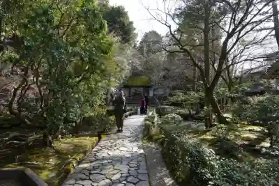 法然院の{uncategorized: "未分類", other: "その他", undefined: "問題あり", building: "その他建物", grave: "お墓", sacred_gate: "鳥居", guardian: "狛犬", statue: "像", buddha: "仏像", history: "歴史", nature: "自然", garden: "庭園", animal: "動物", pagoda: "塔", temizu: "手水舎", mountain_gate: "山門・神門", sanctuary: "本殿・本堂", subordinate: "末社・摂社", art: "芸術", scenery: "景色", jizo: "地蔵", ema: "絵馬", goshuin: "御朱印", omikuji: "おみくじ", items: "授与品その他", amulet: "お守り", goshuincho: "御朱印帳", eats: "食事", festival: "お祭り", votive_dance: "神楽", shichigosan: "七五三参", wedding: "結婚式", experience: "体験その他", initially: "初詣", around: "周辺", anti_infection: "感染症対策"}
