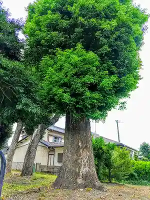 十二所社の自然