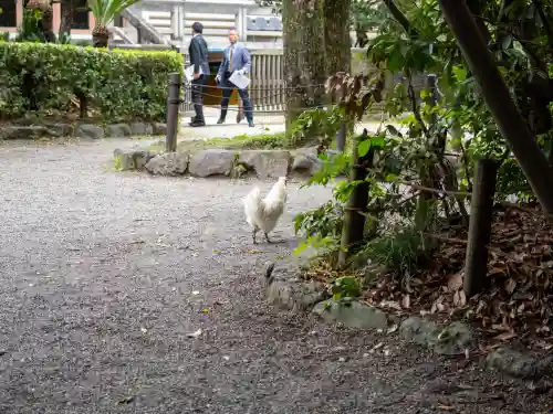 熱田神宮(愛知県)