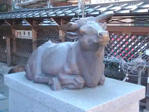 湯島天満宮の狛犬