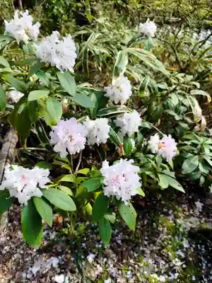 三千院門跡(京都府)