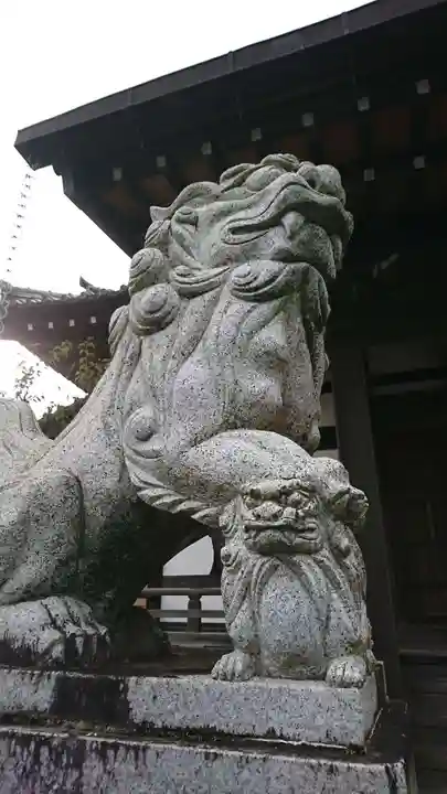 大経寺の狛犬
