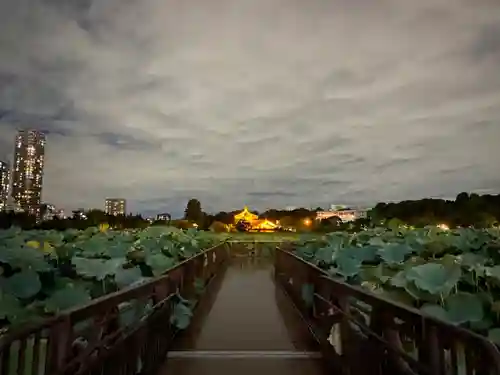 寛永寺不忍池弁天堂の景色