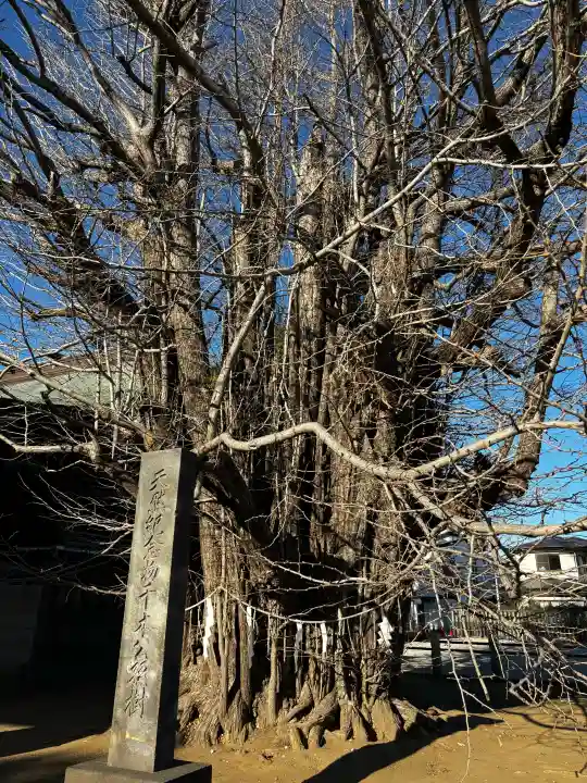 葛飾八幡宮の{uncategorized: "未分類", other: "その他", undefined: "問題あり", building: "その他建物", grave: "お墓", sacred_gate: "鳥居", guardian: "狛犬", statue: "像", buddha: "仏像", history: "歴史", nature: "自然", garden: "庭園", animal: "動物", pagoda: "塔", temizu: "手水舎", mountain_gate: "山門・神門", sanctuary: "本殿・本堂", subordinate: "末社・摂社", art: "芸術", scenery: "景色", jizo: "地蔵", ema: "絵馬", goshuin: "御朱印", omikuji: "おみくじ", items: "授与品その他", amulet: "お守り", goshuincho: "御朱印帳", eats: "食事", festival: "お祭り", votive_dance: "神楽", shichigosan: "七五三参", wedding: "結婚式", experience: "体験その他", initially: "初詣", around: "周辺", anti_infection: "感染症対策"}