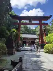 北口本宮冨士浅間神社の鳥居