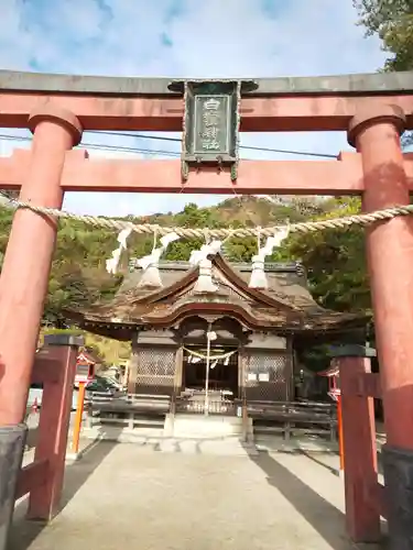 白鬚神社の鳥居