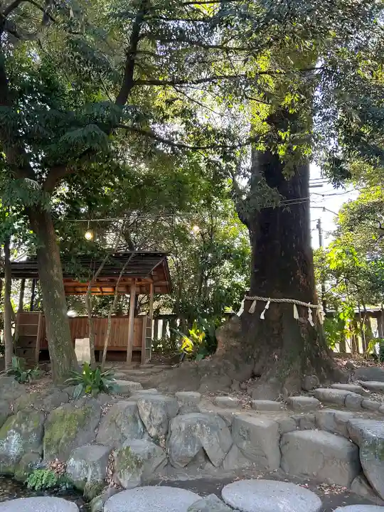 川越氷川神社(埼玉県)