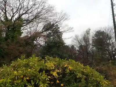 観音山慈眼院(高崎観音)の仏像