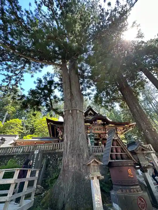 三峯神社(埼玉県)