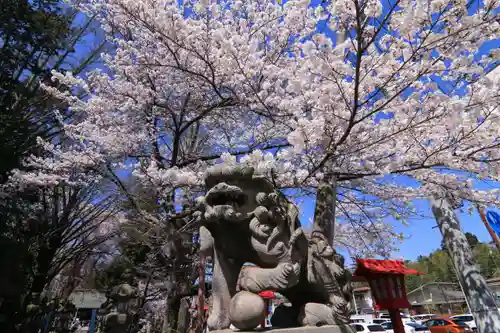 神炊館神社 ⁂奥州須賀川総鎮守⁂の狛犬