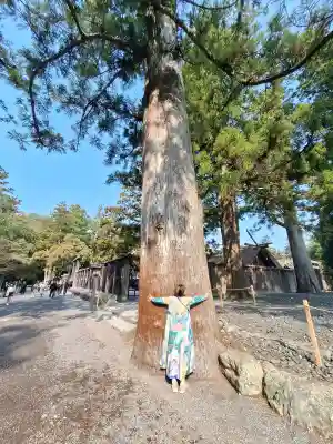 伊勢神宮外宮（豊受大神宮）の{uncategorized: "未分類", other: "その他", undefined: "問題あり", building: "その他建物", grave: "お墓", sacred_gate: "鳥居", guardian: "狛犬", statue: "像", buddha: "仏像", history: "歴史", nature: "自然", garden: "庭園", animal: "動物", pagoda: "塔", temizu: "手水舎", mountain_gate: "山門・神門", sanctuary: "本殿・本堂", subordinate: "末社・摂社", art: "芸術", scenery: "景色", jizo: "地蔵", ema: "絵馬", goshuin: "御朱印", omikuji: "おみくじ", items: "授与品その他", amulet: "お守り", goshuincho: "御朱印帳", eats: "食事", festival: "お祭り", votive_dance: "神楽", shichigosan: "七五三参", wedding: "結婚式", experience: "体験その他", initially: "初詣", around: "周辺", anti_infection: "感染症対策"}