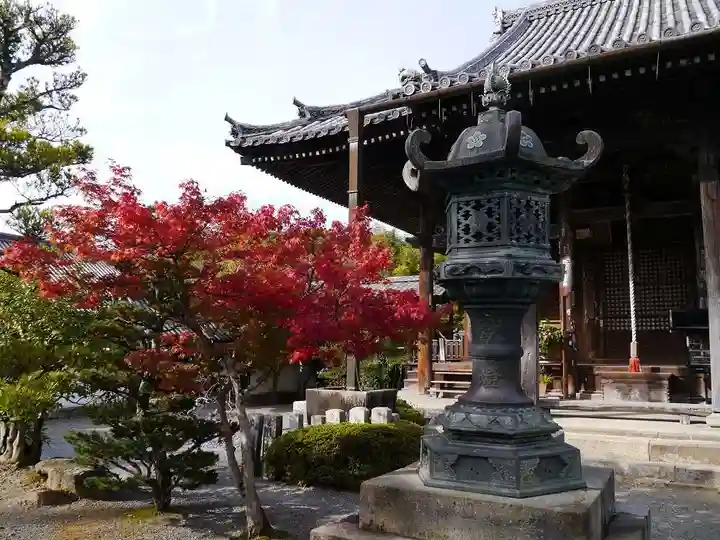 穴太寺の塔