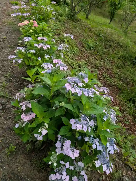 阿久津「田村神社」(郡山市阿久津町)旧社名:伊豆箱根三嶋三社(福島県)