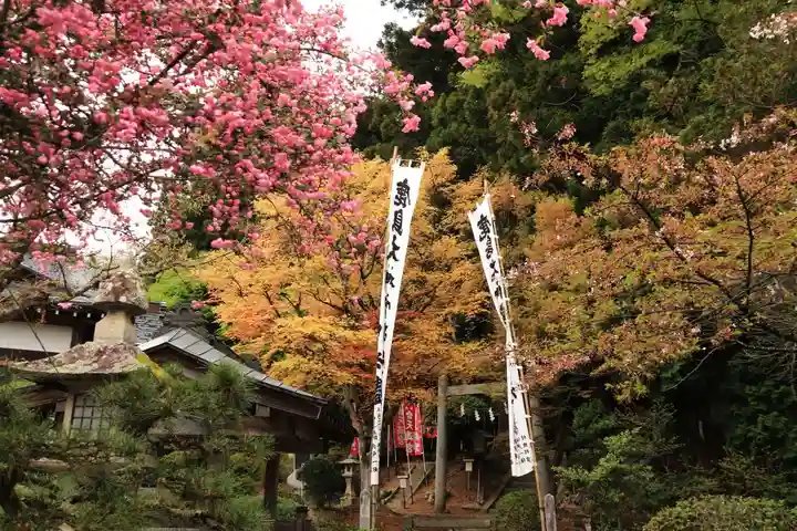 鹿島大神宮のお祭り