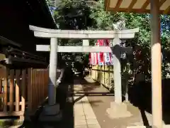 代々木八幡宮の鳥居