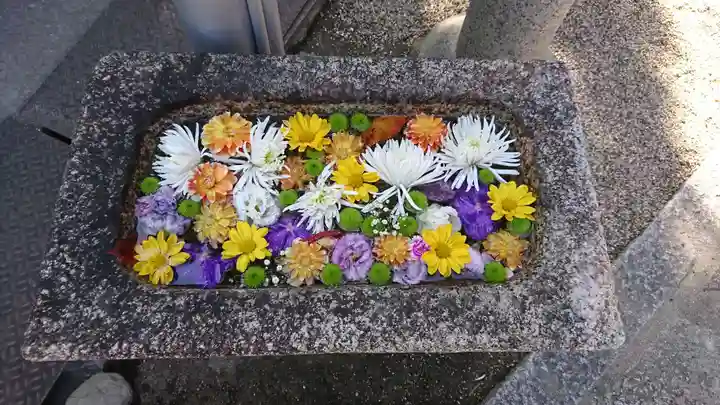 野見神社の手水舎