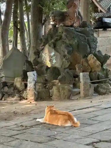雀神社(茨城県)