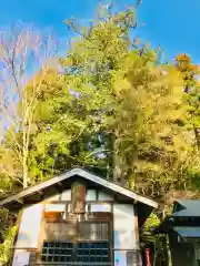 五所駒瀧神社(茨城県)