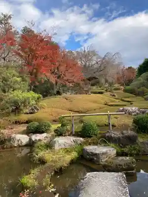 退蔵院(京都府)