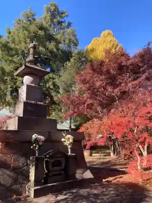 淨眞寺(東京都)