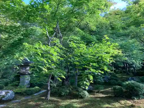圓光寺(京都府)